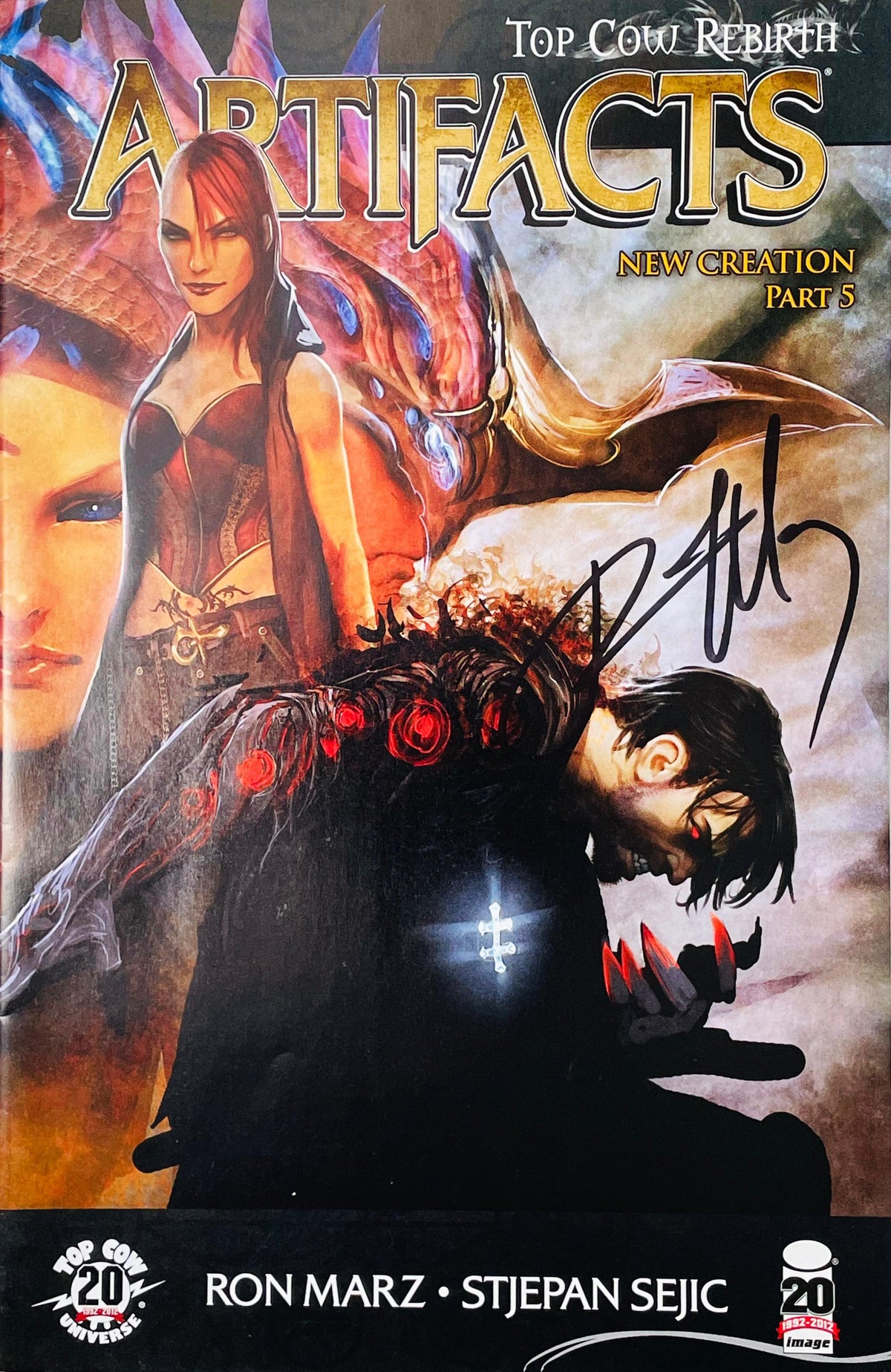 Artifacts issue 13 signed comic book published by Top Cow Image Comics featuring Jackie Estacado as The Darkness kneeling with Sara Pezzini Witchblade painted cover art by Stjepan Sejic with black signature.
