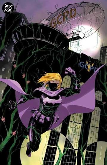 Foil Cover
