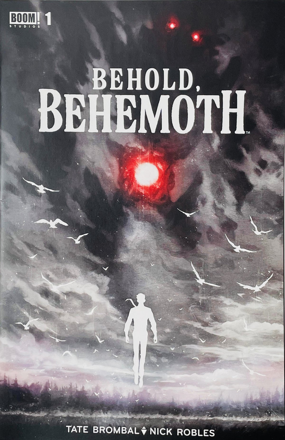 Behold, Behemoth #1 Nick Robles Cover featuring a giant shadowy monster with glowing red eyes towering over a lone white human silhouette beneath a stormy sky filled with birds