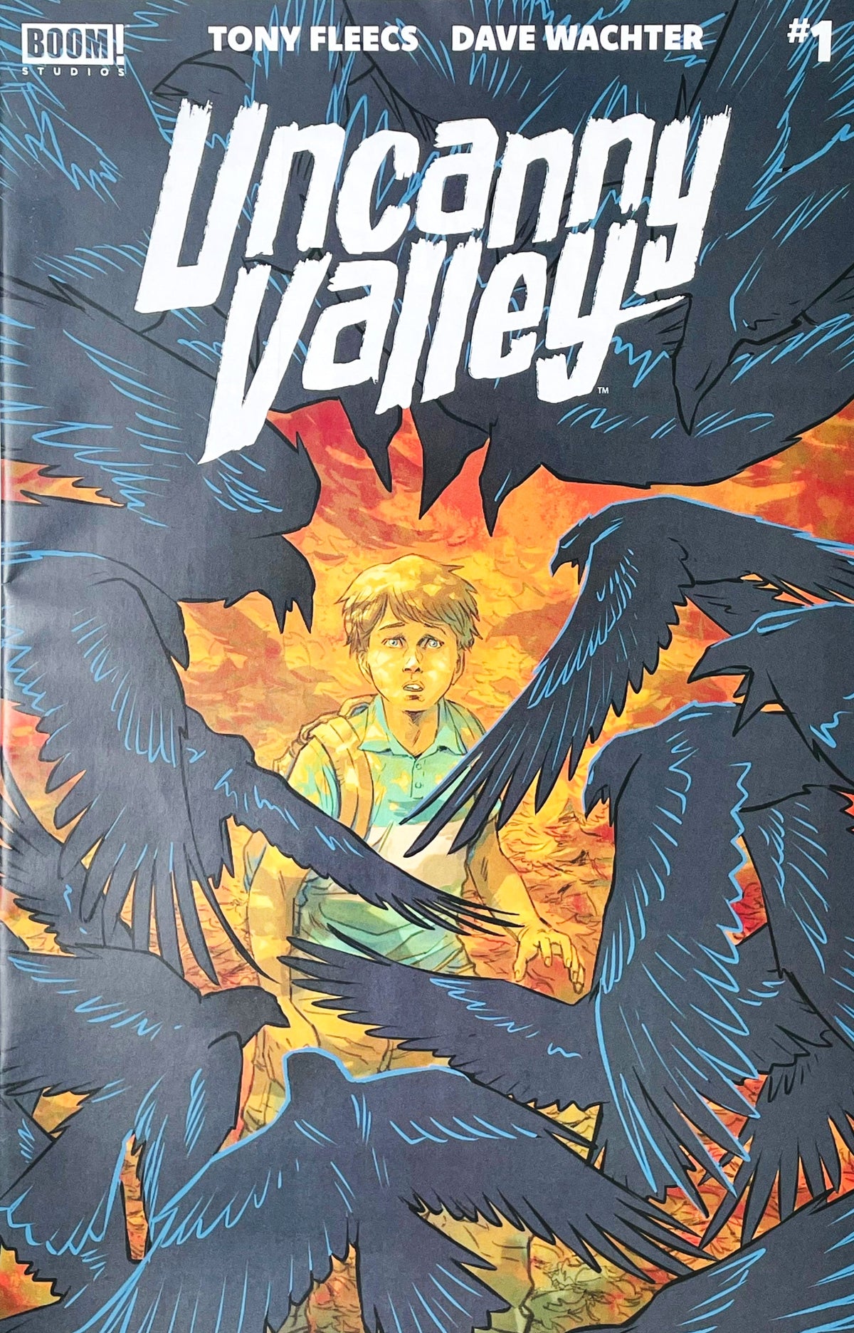 Uncanny Valley issue 1 comic book published by BOOM Studios featuring Dave Wachter cover art of a young boy surrounded by a swarm of dark birds against an orange background.