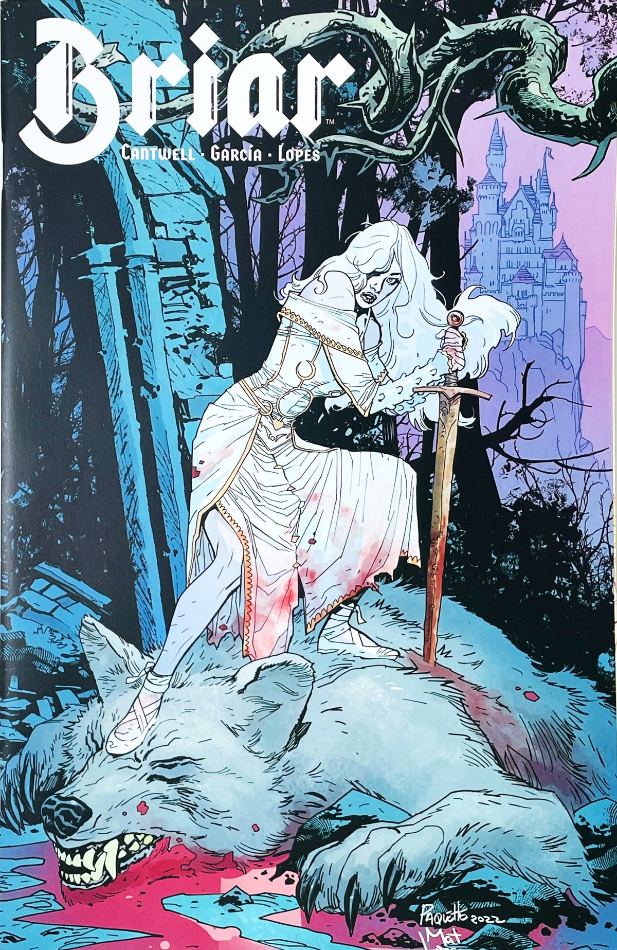 Briar issue 1 comic book published by BOOM Studios featuring Yanick Paquette virgin variant cover art of Briar Rose standing with a sword atop a slain wolf.