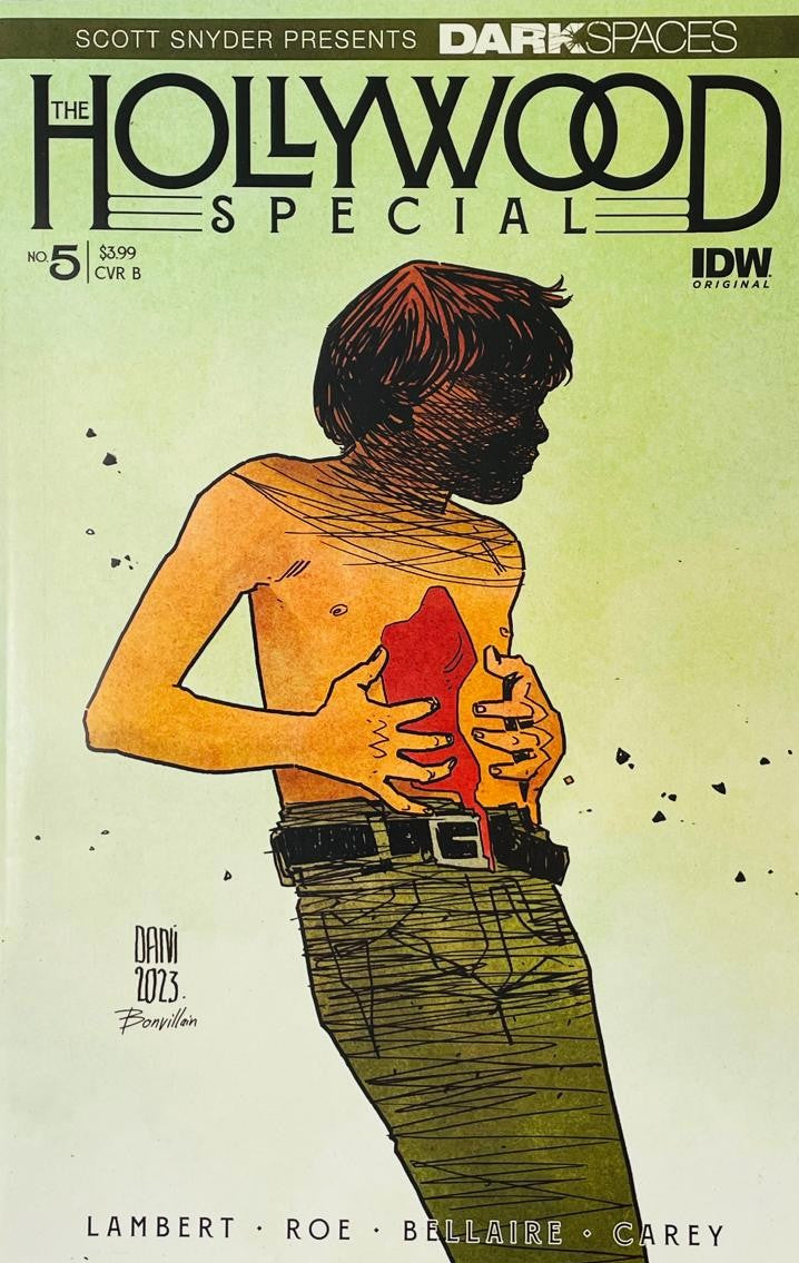 Dark Spaces The Hollywood Special issue 5 comic book published by IDW Publishing featuring Dani cover B artwork of a shadowy silhouette against a pale green background.