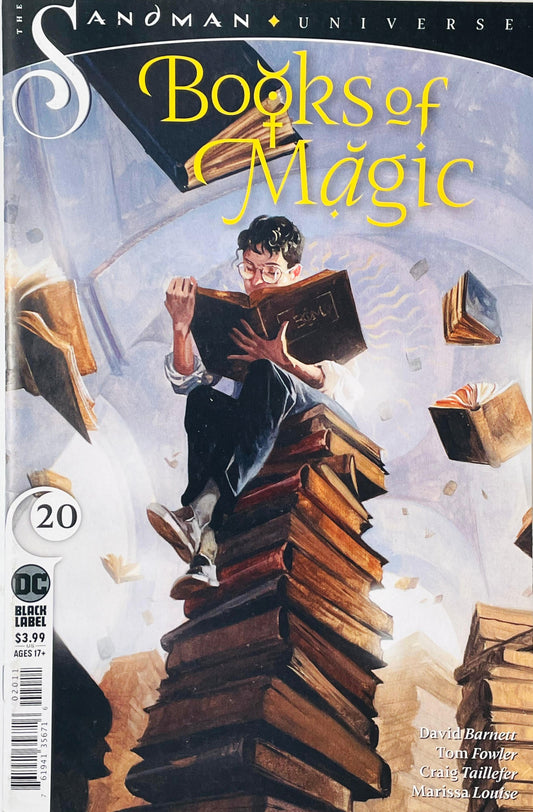 Time-displaced young Tim Hunter reading a grimoire on top of a towering stack of books within a grand library on Kai Carpenter cover of Books of Magic issue 20.